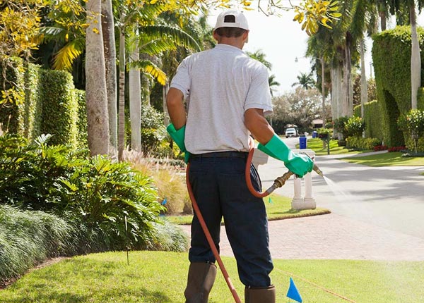About Vaughnsville OH Pest Control